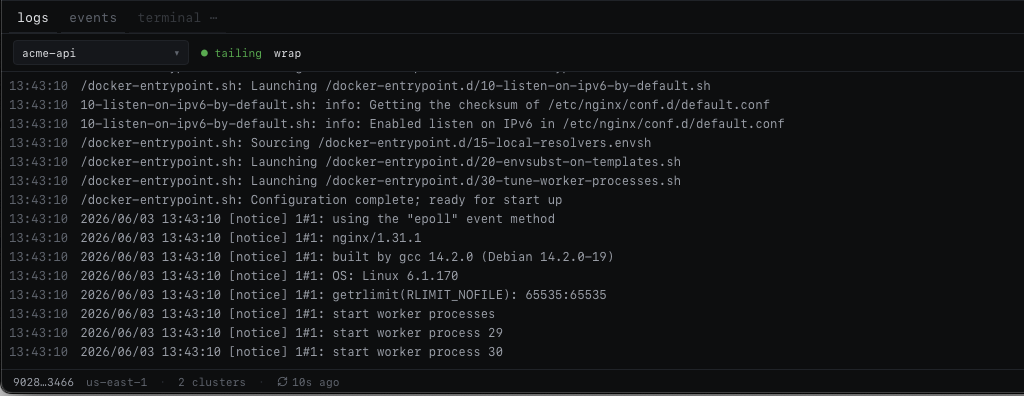 The log drawer tailing a task, next to the task's environment and networking